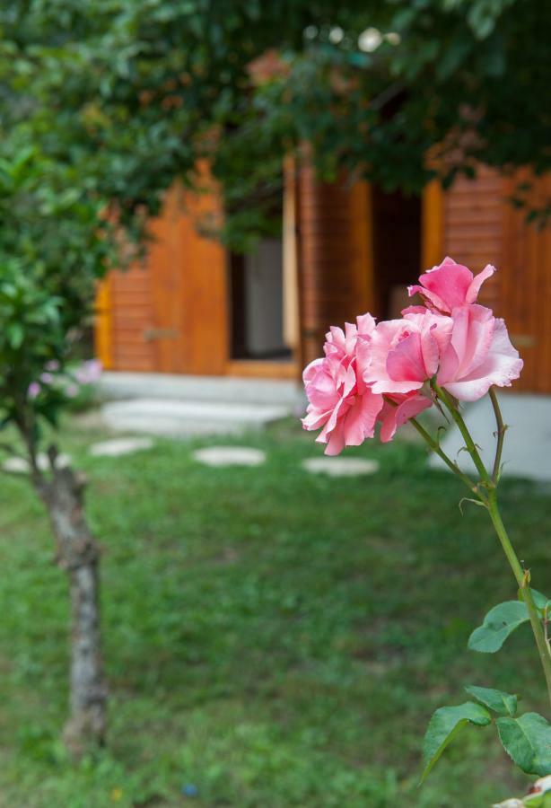Family Holiday Apartment With Garden & Bbq Velonádesz Kültér fotó